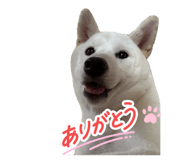 841915029