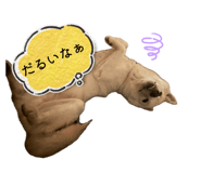 841915044