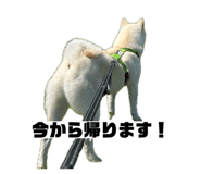 841915045