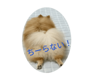 841915072
