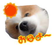 841915074