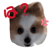 841915076