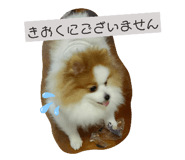 841915090