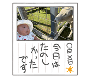 841915453