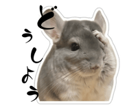 841915501
