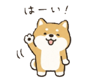 841915505