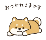 841915507