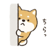 841915511