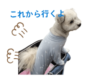 841916206