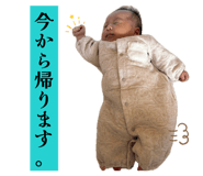 841916253