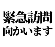 841916552