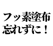 841916711