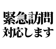 841916989