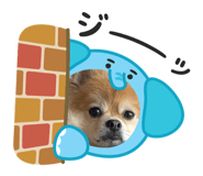 841925309