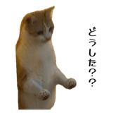 841925769