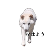841934866