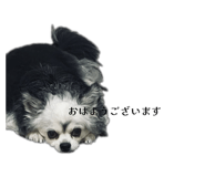 841934868