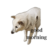 841934869