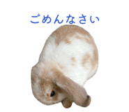 841935109