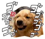 841935345
