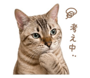 841936093