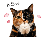 841940077