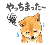 841944308