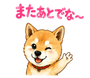 841944311