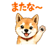 841944314