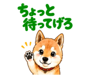 841944316