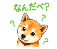 841944326