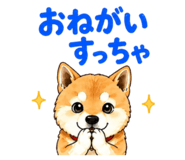 841944330