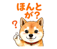 841944332