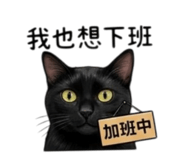 841945157