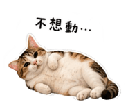 841945563