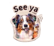841945639