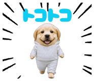 841945841