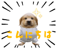 841945842