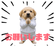 841945844