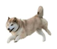 841945868