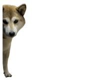 841945869