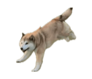 841945872