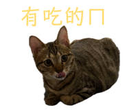 841945995