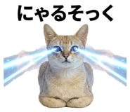 841946260