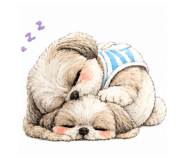 841946293