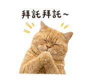 841946513