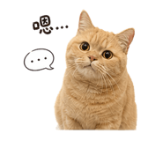 841946515