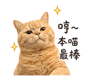 841946526