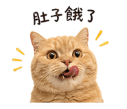 841946537