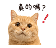 841946538